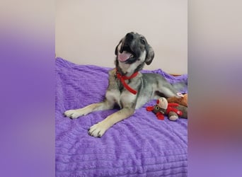 Verzaubert Lori dich mit ihren augen ?!