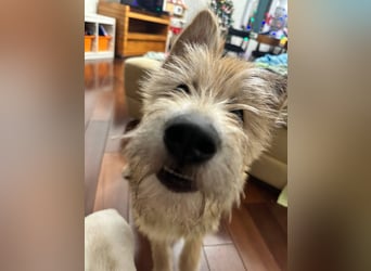 Lustige Jersey verzaubert alle