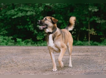 Aksi möchte ihre ganze Liebe zeigen