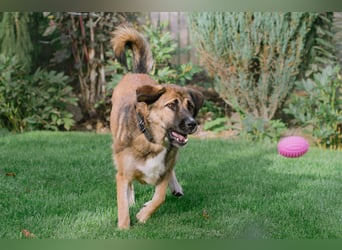 Aksi möchte ihre ganze Liebe zeigen