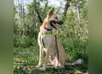 Archie möchte das Leben leben