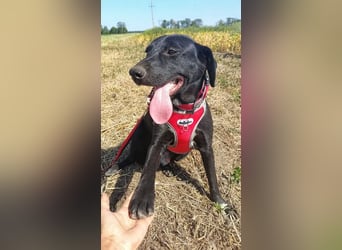 Freundlicher Justin liebt das Leben