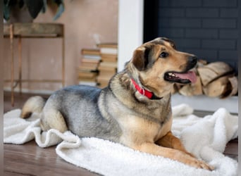 Wunderschöne Musya wartet auf dich