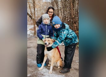 Aktive Mira sucht aktive Menschen (Chemniz)