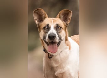 Marta hat noch so viel Lebensfreude