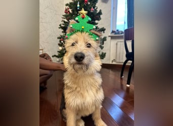 Lustige Jersey verzaubert alle