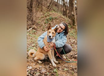 Aktive Mira sucht aktive Menschen (Chemniz)