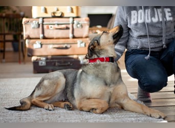 Wunderschöne Musya wartet auf dich