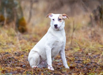 Aufgeschlossener Lord sucht aufgeschlossene Menschen