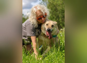 Skye treue seele sucht ....