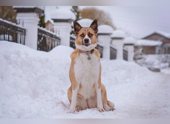 Astra sieht nicht perfekt aus, aber hat ein großes Herz