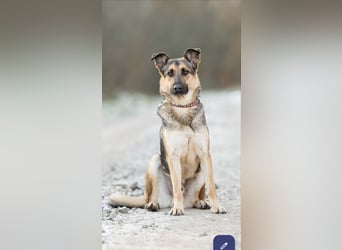 Barney sucht verständnisvolle Menschen