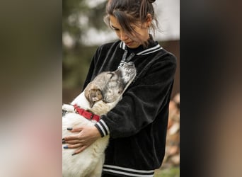 Julia will liebe und Geborgenheit