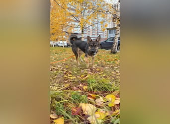 Charmante Betty sucht Familie