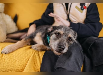 Shalim sucht nun den Platz für immer