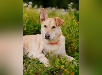Ausgewogene Mona sucht Familie