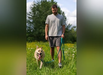 Skye treue seele sucht ....