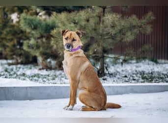 Kasper der wunderschöne...