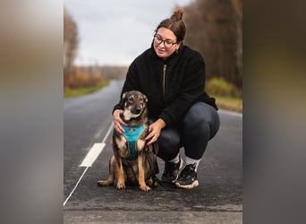 Liebevolle Olivka sucht ihren platz