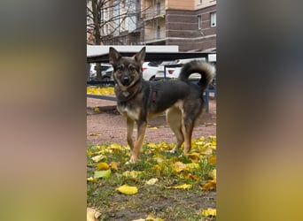 Charmante Betty sucht Familie