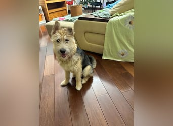 Lustige Jersey verzaubert alle