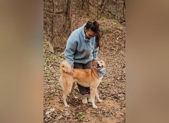 Aktive Mira sucht aktive Menschen (Chemniz)