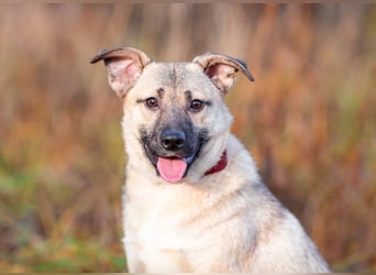 Iriska sucht liebe Menschen