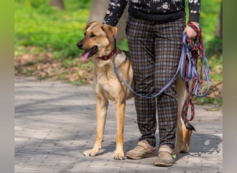 Tuchka - die sanfte Seele mit stolzem Auftreten sucht Ihr Zuhause!