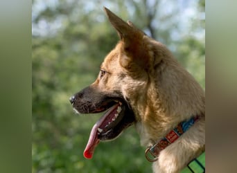 Archie möchte das Leben leben