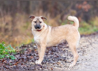 Iriska sucht liebe Menschen