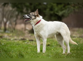 Julia will liebe und Geborgenheit