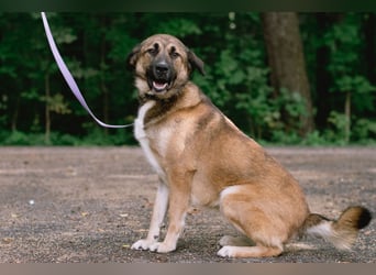 Aksi möchte ihre ganze Liebe zeigen