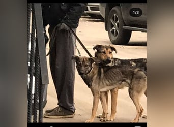 Wunderschöne Musya wartet auf dich