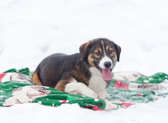 Havier sucht ein aktives Leben...