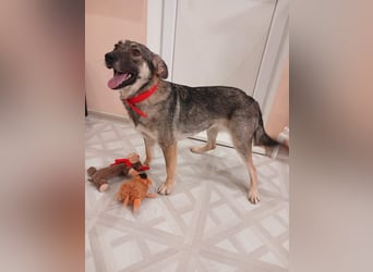 Verzaubert Lori dich mit ihren augen ?!