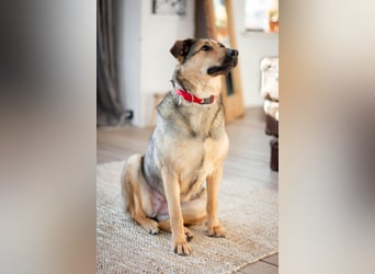 Wunderschöne Musya wartet auf dich