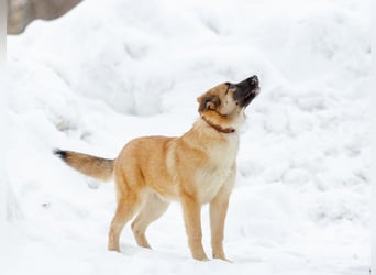Zuckersüße Rada sucht liebe Familie