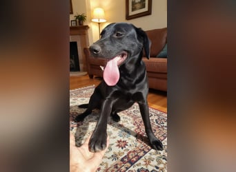 Freundlicher Justin liebt das Leben