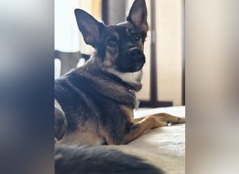 Charmante Betty sucht Familie