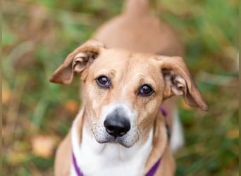 Bucks sucht menschen mit liebe und geduld