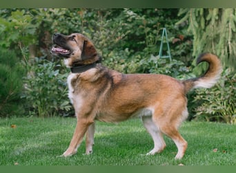 Aksi möchte ihre ganze Liebe zeigen