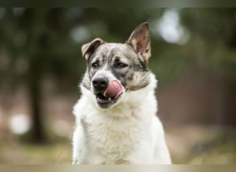 Julia will liebe und Geborgenheit