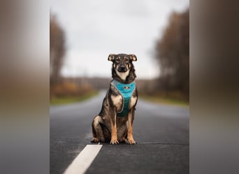 Liebevolle Olivka sucht ihren platz