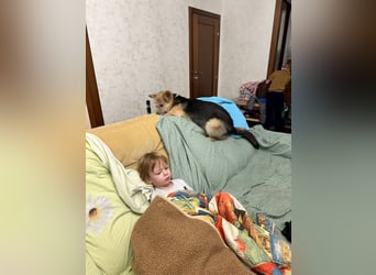 Lustige Jersey verzaubert alle