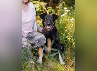 Amy sucht jetzt ihre neue Familie