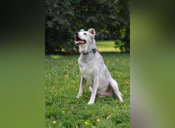 Wunderbare Hilda sucht Trauzuhause