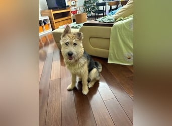 Lustige Jersey verzaubert alle