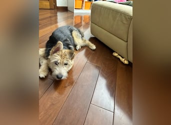 Lustige Jersey verzaubert alle