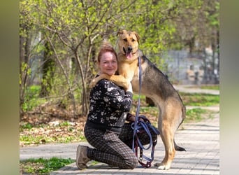 Tuchka - die sanfte Seele mit stolzem Auftreten sucht Ihr Zuhause!