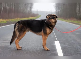 Josar sucht liebvolle Menschen